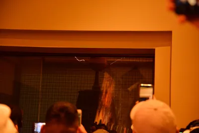 DSC_5653 (Large).JPG